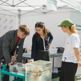 Na zdjęciu koła naukowe prezentują swoje projekty 