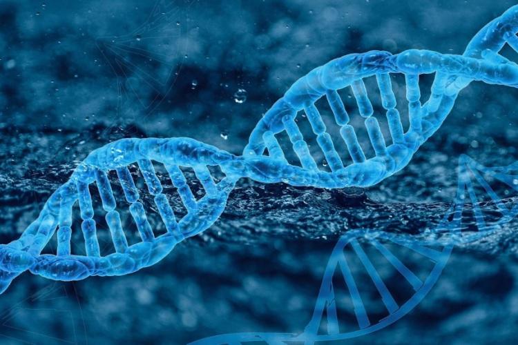 Grafika przedstawiająca DNA