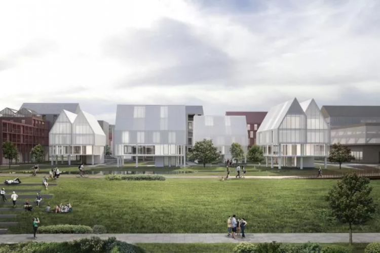 Projekt Kingi Butlewskiej