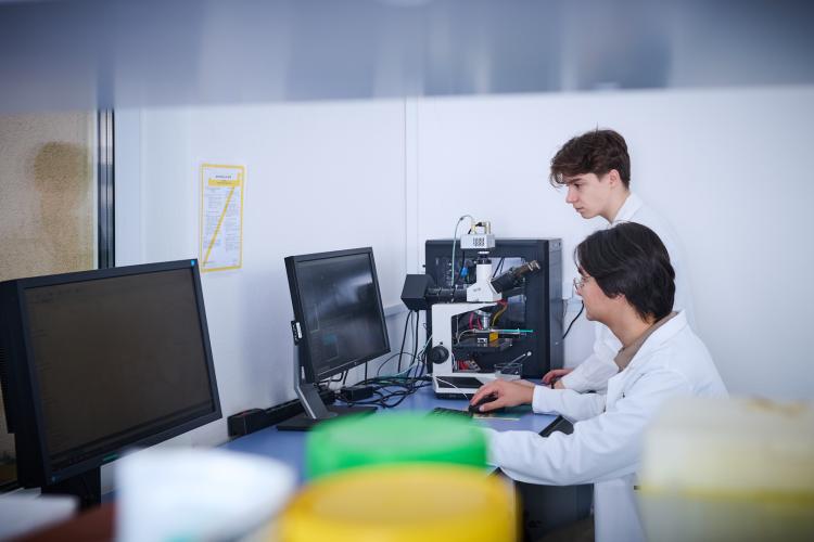 Zdjęcie dwóch studentów podczas zajęć w laboratorium