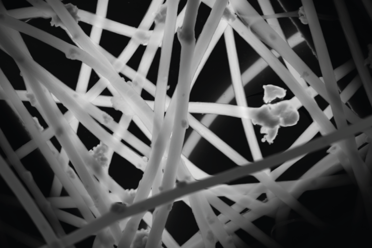 Na zdjęciu nanowłókna maty polimerowej z unieruchomionym na włóknach katalizatorem. Zdjęcie wykonane transmisyjnym mikroskopem elektronowym (TEM) i przedstawia 