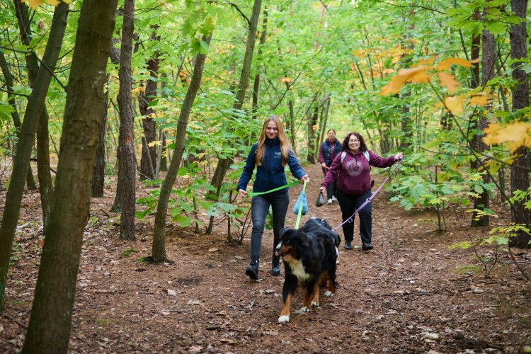 Na zdjęciu wolontariusze z PW na spacerze z psami z Fundacji Fundacji Azylu pod Psim Aniołem