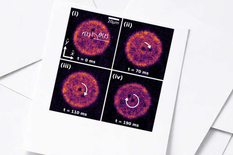 Zdjęcia ultrazimnego gazu atomów litu-6 uwięzionego w cylindrycznej pułapce optycznej. W centrum widoczny jest wir kwantowy unieruchomiony za pomocą wiązki laserowej. Drugi wir, nieutrzymywany w miejscu, może swobodnie się poruszać — w przedstawionym przypadku orbituje wokół centralnego wiru. Jeśli w układzie występuje tarcie, promień tej orbity stopniowo maleje. 