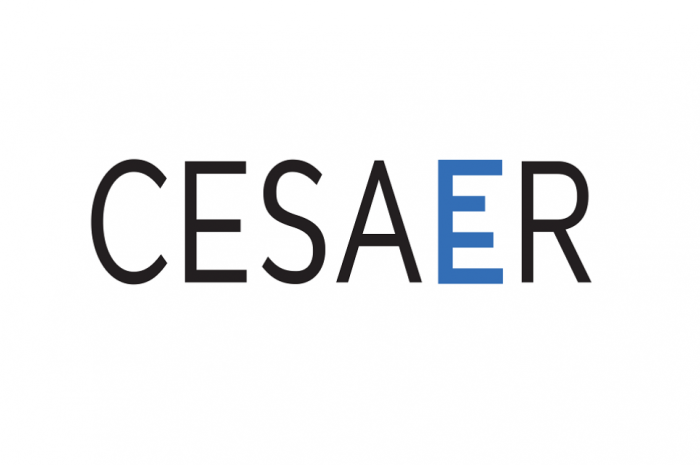 Logo organizacji CESAER