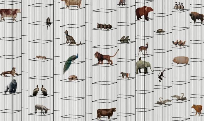 Projekt zootopii stworzony przez studentów Politechniki Warszawskiej