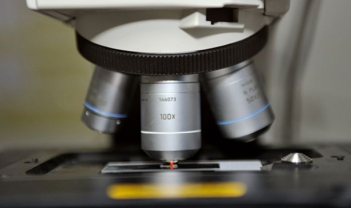 Zbliżenie na mikroskop, pod którym znajduje się preparat
