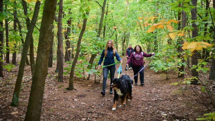 Na zdjęciu wolontariusze z PW na spacerze z psami z Fundacji Fundacji Azylu pod Psim Aniołem