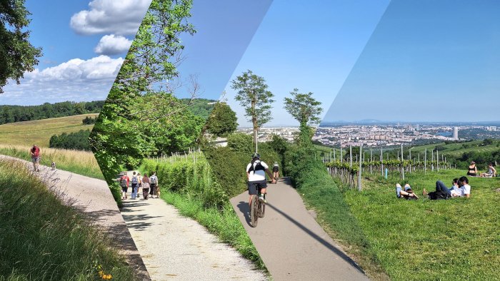 Grafika przedstawia mozaikę czterech fotografii ludzi spędzających czas w naturze. Widać osoby spacerujące z psem po polnej drodze, grupę idącą leśną ścieżką, rowerzystów jadących wśród zielonych wzgórz oraz ludzi odpoczywających na trawie z panoramą miasta w tle.