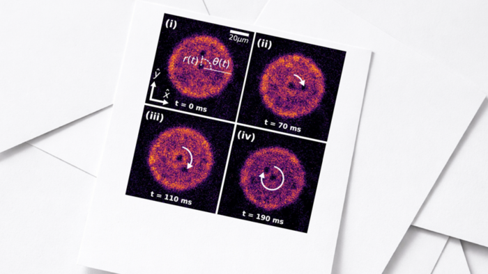 Zdjęcia ultrazimnego gazu atomów litu-6 uwięzionego w cylindrycznej pułapce optycznej. W centrum widoczny jest wir kwantowy unieruchomiony za pomocą wiązki laserowej. Drugi wir, nieutrzymywany w miejscu, może swobodnie się poruszać — w przedstawionym przypadku orbituje wokół centralnego wiru. Jeśli w układzie występuje tarcie, promień tej orbity stopniowo maleje. 