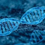 Grafika przedstawiająca DNA