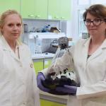 Dr inż. Marta Mazurkiewicz-Pawlicka i mgr inż. Zuzanna Bojarska w laboratorium